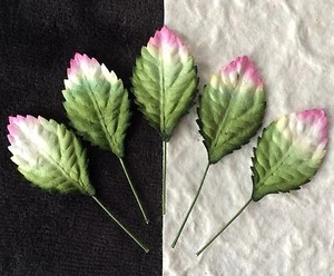 20 Rose Leaves Small leaf rose variegated Green Pink wedding floral card wreaths - Picture 1 of 3