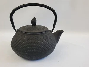 Cast Iron Teapot Tea Kettle Japanese Dot Hobnail with Stainless Steel Infuser - Picture 1 of 12