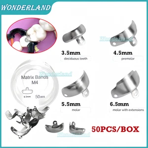 50﻿pcs Dental Metal Matrix Bands Sectional Contoured Matrices Ring Wedges - Picture 1 of 17