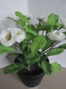 IKEA FEJKA Topfpflanze künstlich Gänseblümchen Tausendschön Bellis weiß 12 cm - Bild 1 von 5