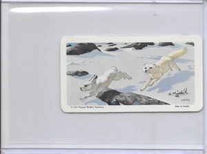 1973 Artic Fox & Hare National Wildlife Federation The Arctic Card #33 Series 16 - Picture 1 of 2