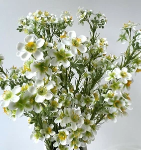 Geraldton Wax Flower Australian Native Flowers White Green Wax Stem Artificial 1 - Picture 1 of 6