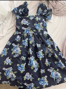 girls dress- Frankie by Francesca’s- gorgeous Hydrangea print-perfect for Easter - Picture 1 of 5