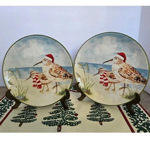Pier 1 Importaciones Navidad Gaitero Pájaros Papá Noel Sombrero Juego de Platos de Vacaciones - Imagen 1 de 5