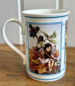 Vintage Danbury Mint - Flower Fairies BlackBerry Hawthorn Rose Hip Cup Mug 1997 - Picture 1 of 12