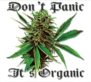 DON'T PANIC IT'S ORGANIC  POT WEED MARIJUANA LEAF MARY JANE SHIRT #MJ-22 POCKET - Picture 1 of 5