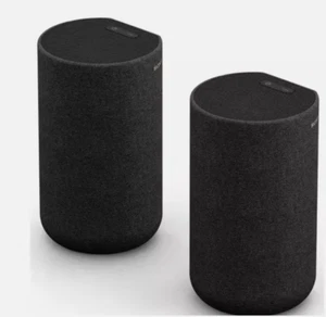 SONY Wireless Rear Speaker SA-RS5 2.0.2 - BRAND NEW - Picture 1 of 3