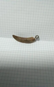 Amulett Fangzahn im Stil der Wikinger Kiewer Rus 9-13 Jh. - Bild 1 von 9