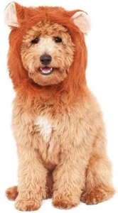 Elegante Vestido de Halloween Mascota Perro Gato Disfraz Accesorio - Imagen 1 de 1