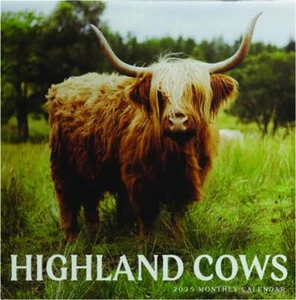 Highland Cows - 2025 CALENDAR - BRAND NEW - 401564 - Picture 1 of 1