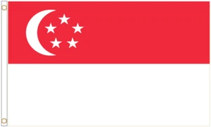 Singapore Polyester Flag - Choice of Sizes - Picture 1 of 3