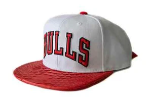 Mitchell & Ness Chicago Bulls Arch Logo Python Hat - Just Don Style Hat - Picture 1 of 2