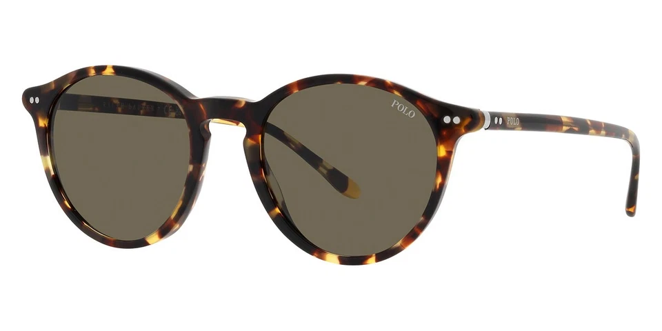 Óculos de Sol Polo Ralph Lauren Masculino PH4193 6083/3 51mm Havana - Lente Marrom - NOVO - Imagem 1 de 4
