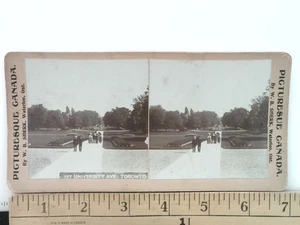 University Avenue Toronto Ontario Canada Stereoview Università di Toronto c1890s - Foto 1 di 2