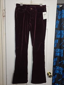 Ralph Lauren Black Label 867 Samt Boot Cut Damen Hose Größe 8 Neu mit Etikett  - Bild 1 von 12