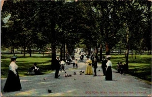 Escena en BOSTON COMMON Boston, Massachusetts MA c1910 Postal - Imagen 1 de 2