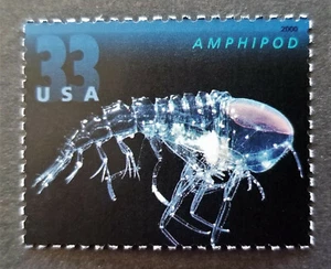 US 2000 Scott # 3442 - AMPHIPOD Stamp 33c / Deep Sea Creature - MNH - Picture 1 of 1
