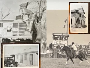 4 fotos Frontier Western "Robbins Rodeo" cabras en techo de coche placas Wyoming años 40 - Imagen 1 de 20