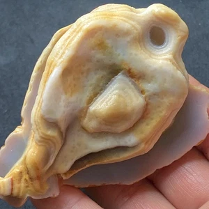 Natural Miraculous Gobi Jade Agate Weathering Stone Collection Specimens - Imagen 1 de 5