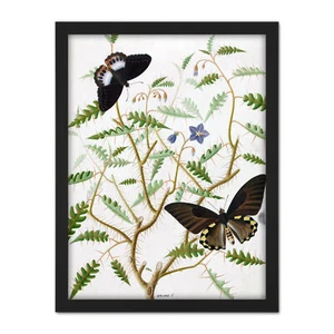 De Wit Two Exotic Butterflies Blooming Bush Framed Wall Art Print 18X24 In - Bild 1 von 25