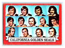 1973-74 O-PEE-CHEE GOLDEN SEALS TEAM VINTAGE NHL HOCKEY CARD # 95 Rare BV
