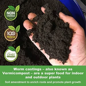 Organic Worm Castings – Nutrient-Rich Soil Supplement for Houseplants 🌱🌿 - Picture 1 of 6