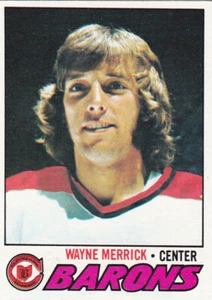 77/78 TOPPS..WAYNE MERRICK..NRMT..CARD # 176..BARONS..FREE COMBINED SHIPPING - Picture 1 of 1