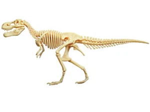Rompecabezas Tyrannosaurus Anatomía Animal Modelo Enseñanza Modelo Juguete Ensamblado - Imagen 1 de 9