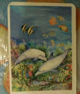 Duo delfini, corallo fondo oceano, pesce, spiaggia, mare, estate, acqua salata, bandiera CASA - Foto 1 di 3