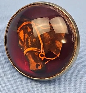 Vintage Pferd Trense Rossette gewölbtes Glas H A Chapman Box 5 weiße Bärensee Min - Bild 1 von 4