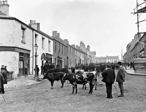 Feria del Ganado, Edenderry, Co. Offaly Irlanda c1900 FOTO ANTIGUA - Imagen 1 de 1