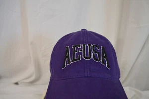 NEW American Eagle Mens 90's Logo Hat, Purple O/S, 8374-2 - Picture 1 of 8