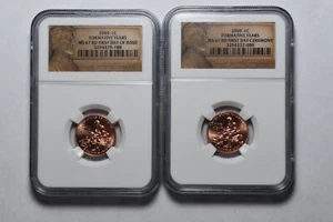 2009 P Formative Years Business Strike Pennies NGC MS 67 RD First Day Of Issue - Picture 1 of 2