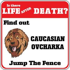 Crossing Sign Caucasian Ovcharka Dog Life Death Jump Fence Cross Xing Metal