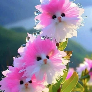 50pcs Seeds Cute Monkey Face Orchid Seeds Bonsai Plant Flowers - Picture 1 of 11