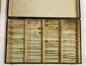 Konvolut histologische Vitrinen. 63 Proben der menschlichen und tierischen Anatomie. - Bild 1 von 6
