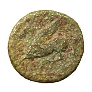 Antigua moneda griega Agatocles Siracusa Sicilia AE17mm Apolo / Pegaso 01931 - Imagen 1 de 6