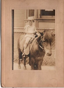 Antique Photo Photograph Cutest Little Girl on Her Pony 5.5 x 4 Inches ~ So Cute - Picture 1 of 2