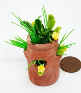 Maceta rellena de terracota cerámica para casa de muñecas escala 1:12 maceta tumdee - Imagen 1 de 7