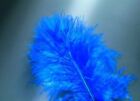 Glorex Marabufedern blau ca. 15 Stück  Federn