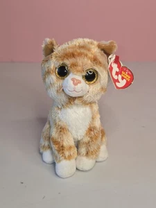 Ty Beanie Baby BOOTIES die 2015 Tabby Katze 6 Zoll Plüschtier Stofftier Spielzeug - Bild 1 von 10