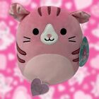 Geraldine the Pink Scottish Fold Cat ♡ 8” Squishmallow ♡ BNWT HTF RARE