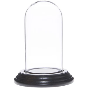 Plymor 2" x 4" Mini Glass Display Dome Cloche (Black Wood Veneer Base) - Picture 1 of 1