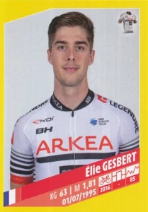 A06 ELIE GESBERT # TEAM ARKEA SAMSIC STICKER PANINI UPDATE TOUR DE FRANCE 2019 - Picture 1 of 1