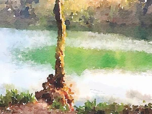 attractive framed watercolour print, tree by a lake, in a 53 X 43 cm frame - Picture 1 of 2