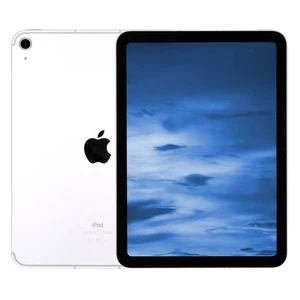 Tablet Apple iPad 10 10,9" WiFi + 5G 64GB Plata 2022 iOS buena - Imagen 1 de 4