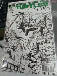 Teenage Mutant Ninja Turtles #1F 3rd Printing 2011 - Bild 1 von 12
