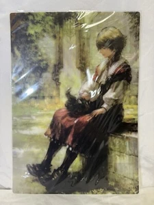 Final Fantasy 16 Limited Edition Illustration Sheet Joshua - Bild 1 von 1