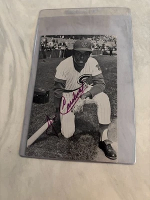 José Cardenal 1977 3 1/2 X 5 1/2" Chicago Cubs B/N fotografía autografiada Foto 1 de 2