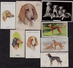 8 verschiedene Vintage SALUKI Tabak/Zigarette/Tee Hund Karten Lot - Bild 1 von 2
